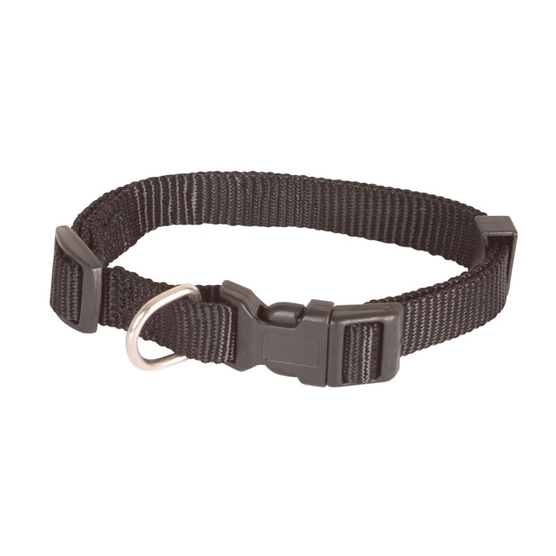 Collier noir chien Doogy DOO-F4251