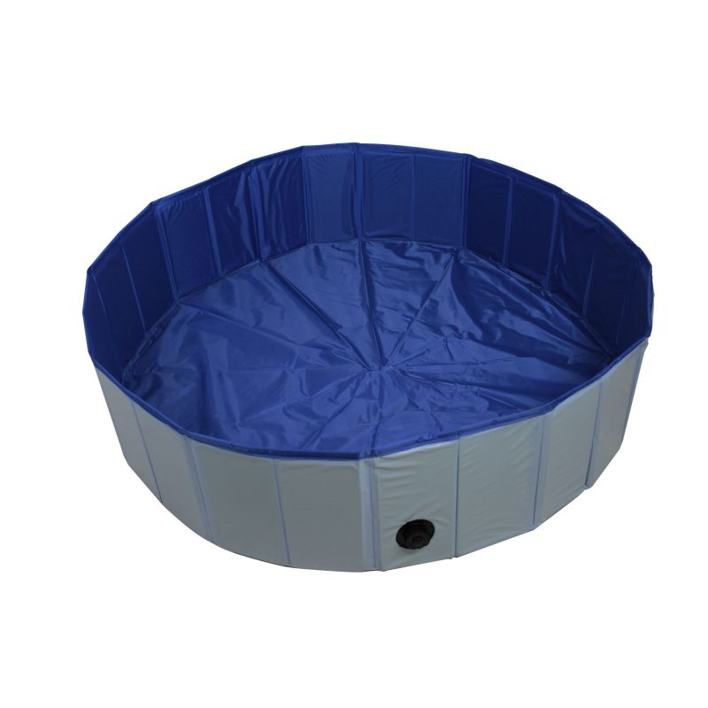 Piscine chien E0479