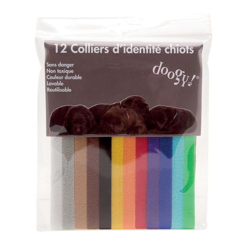 Colliers chiots F0111