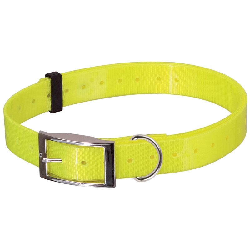 Collier chien F1291jaune