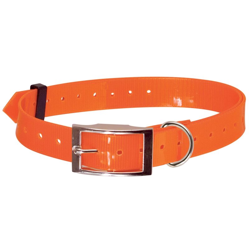 Collier chien F1291 orange