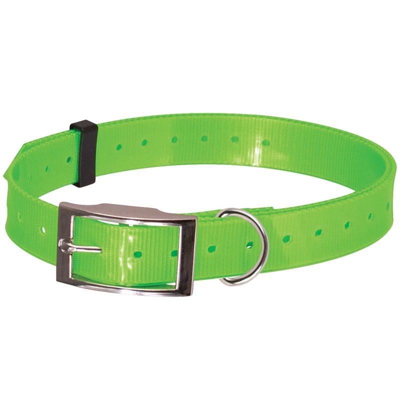 Collier chien F1291 vert