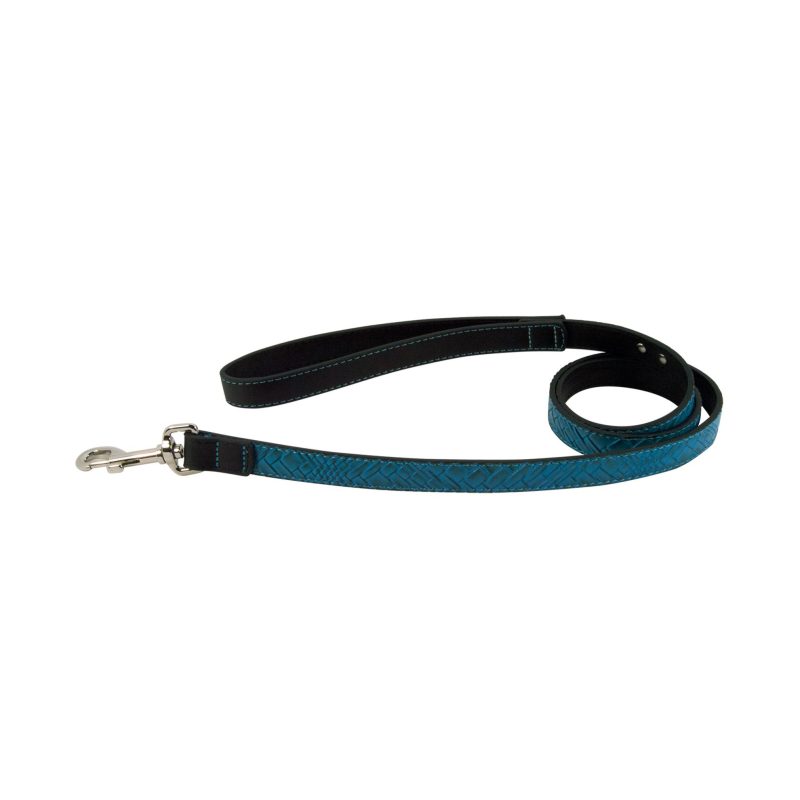 Laisse bleue chien F2240