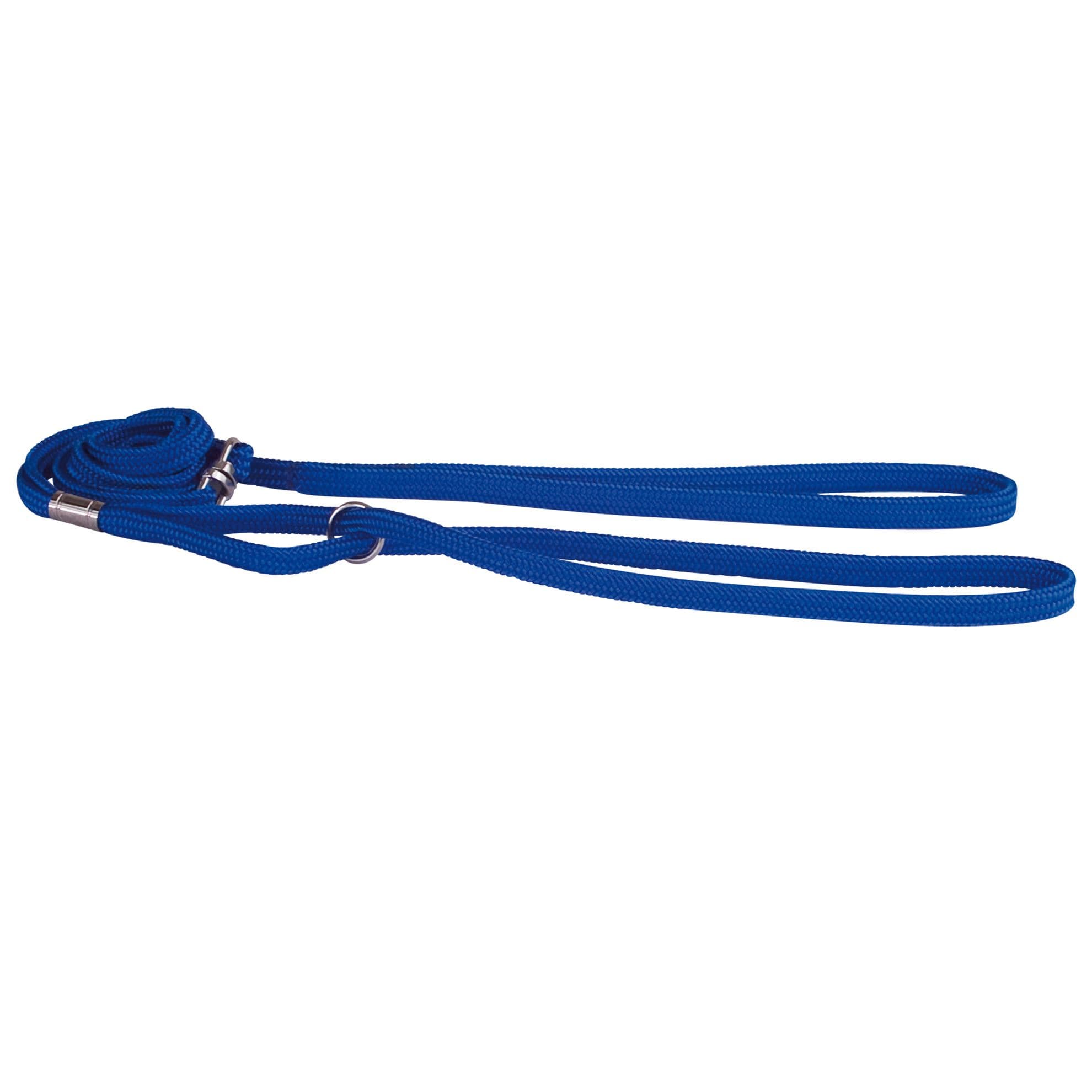 Laisse chien Doogy bleu F0670