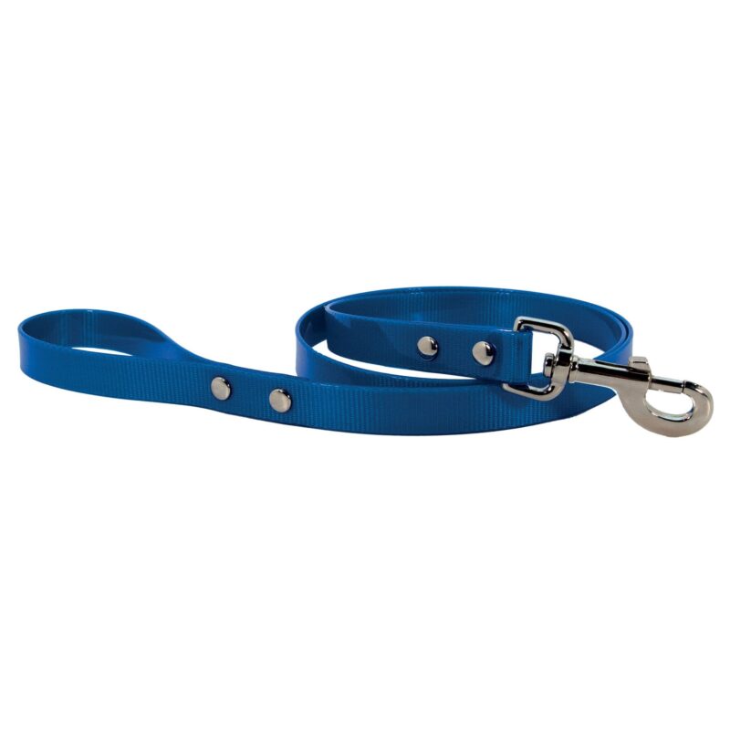 Laisse fluo chien Doogy bleu F1325