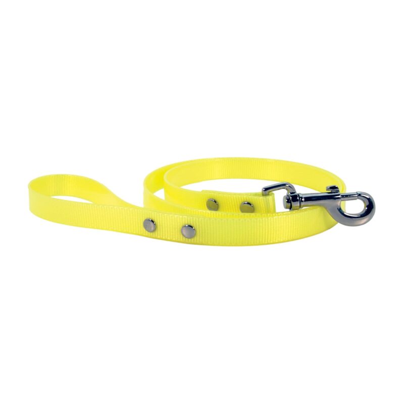 Laisse fluo chien Doogy jaune F1325