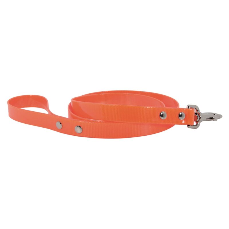 Laisse fluo chien Doogy orange F1325