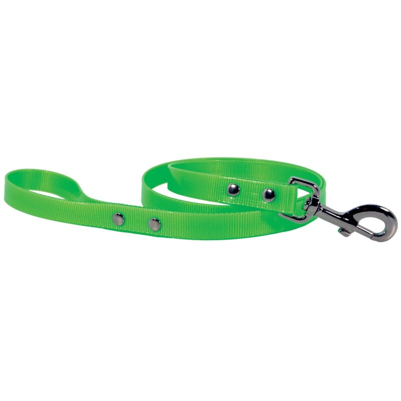 Laisse fluo chien Doogy vert F1325