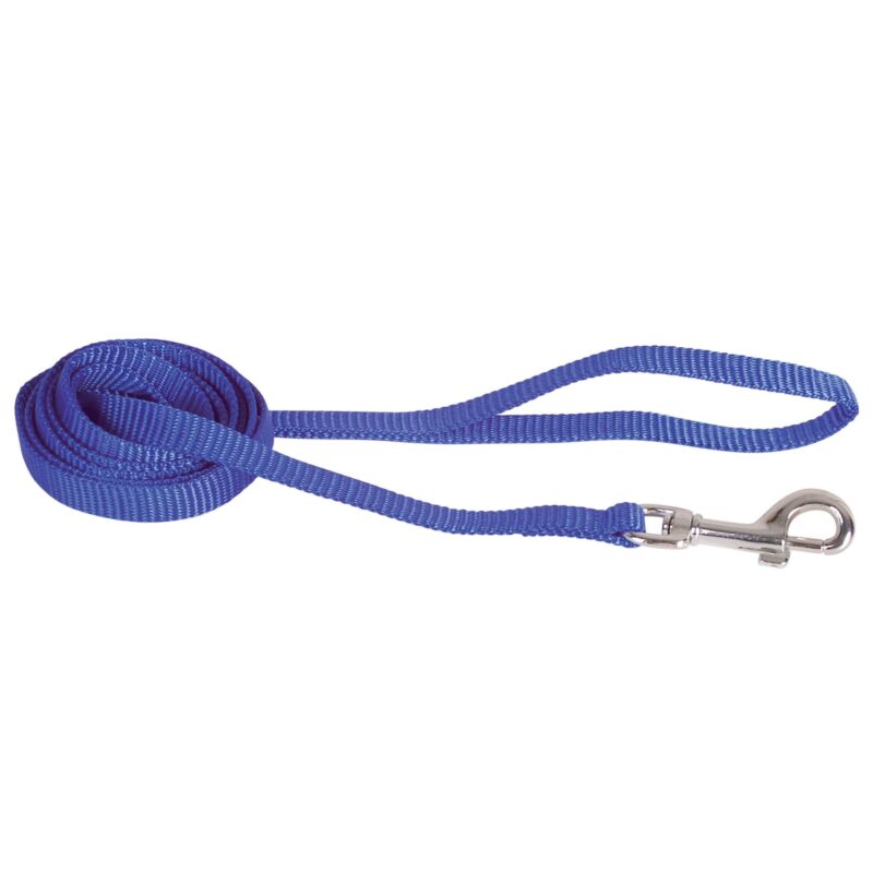 Laisses chien Doogy bleu F4201