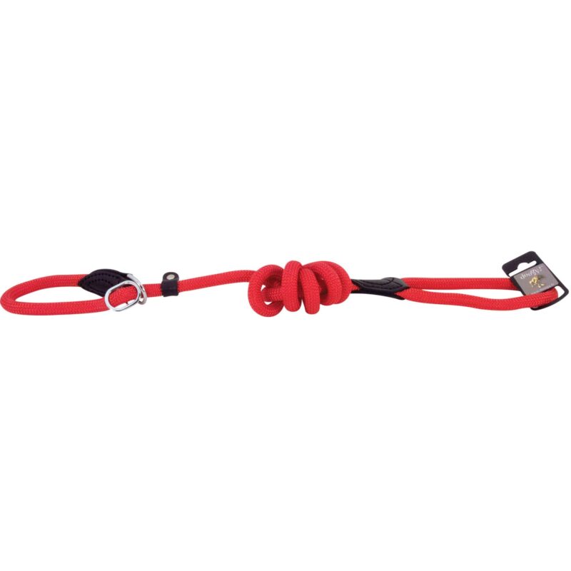 Laisse lasso chien Doogy rouge G0400