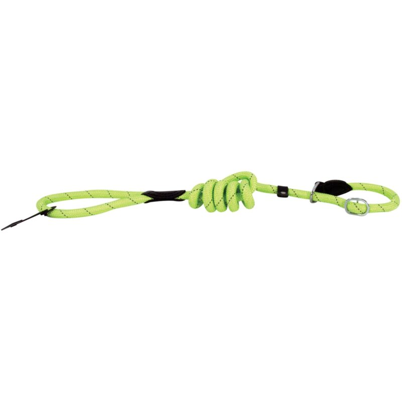 Laisse chien Doogy vert G0430