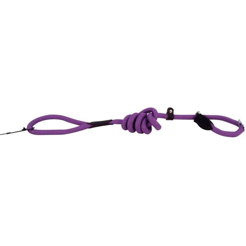 Laisse chien Doogy violet G0430