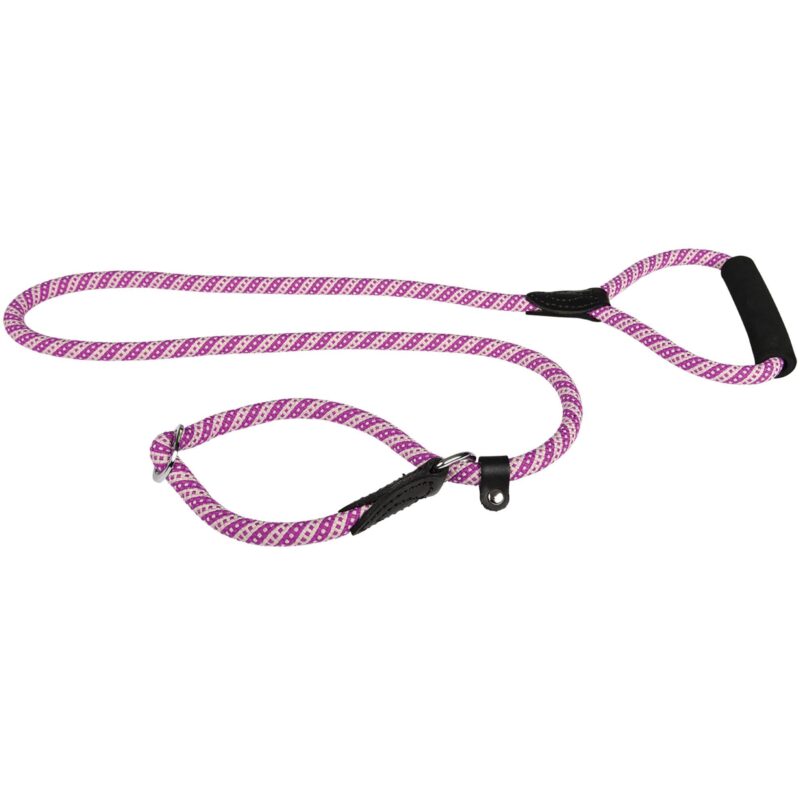 Laisse chien Doogy rose G0435