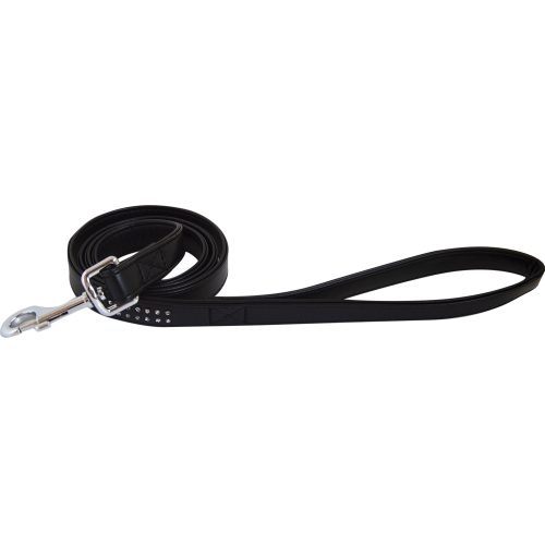 Laisse chien Doogy noir G1076