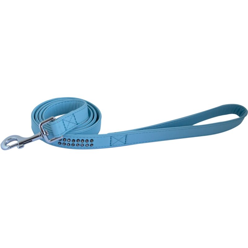 Laisse chien Doogy bleu G1076