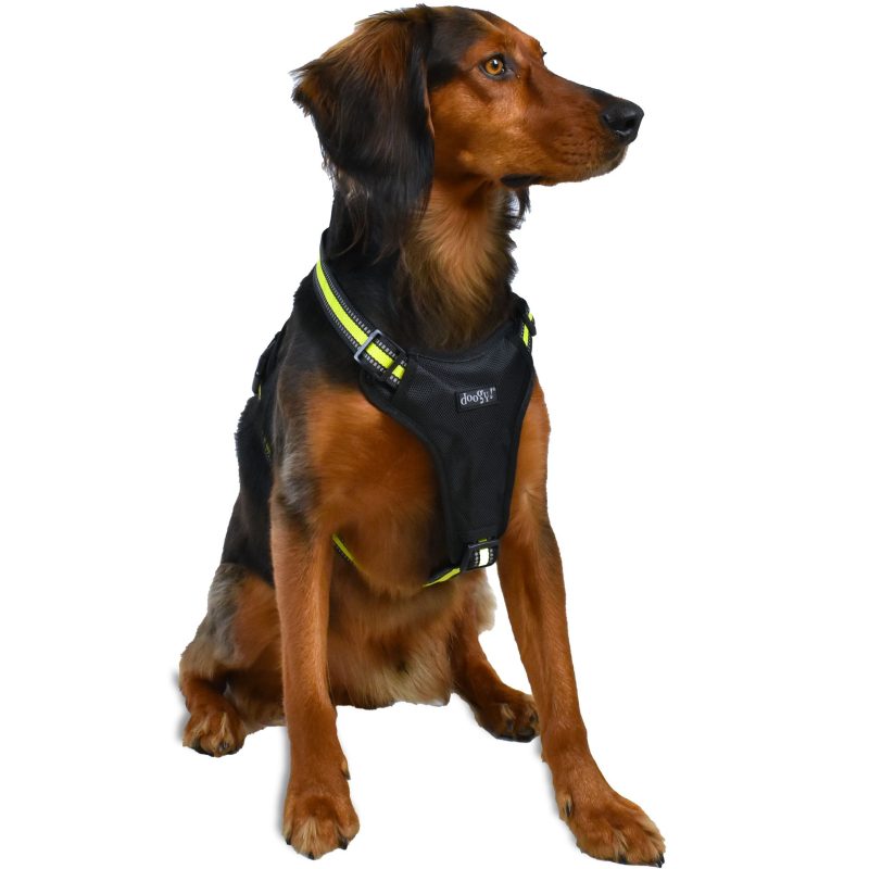 Harnais chien Doogy jaune G3240